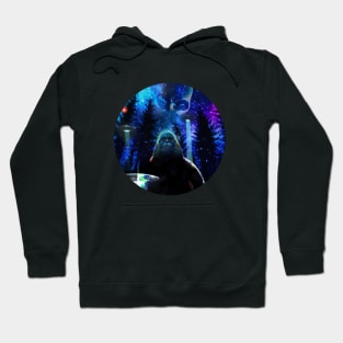 Bigfoot & Ufos Hoodie